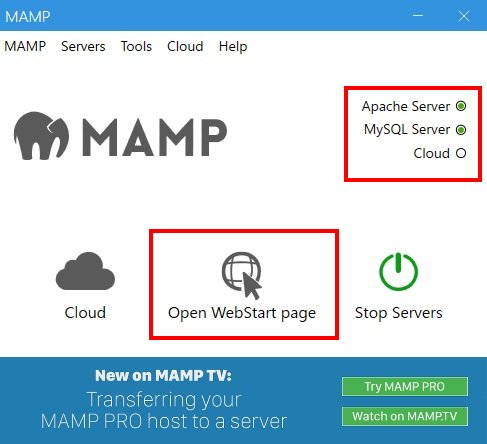 Apache ServerとMySQL Serverの起動確認
